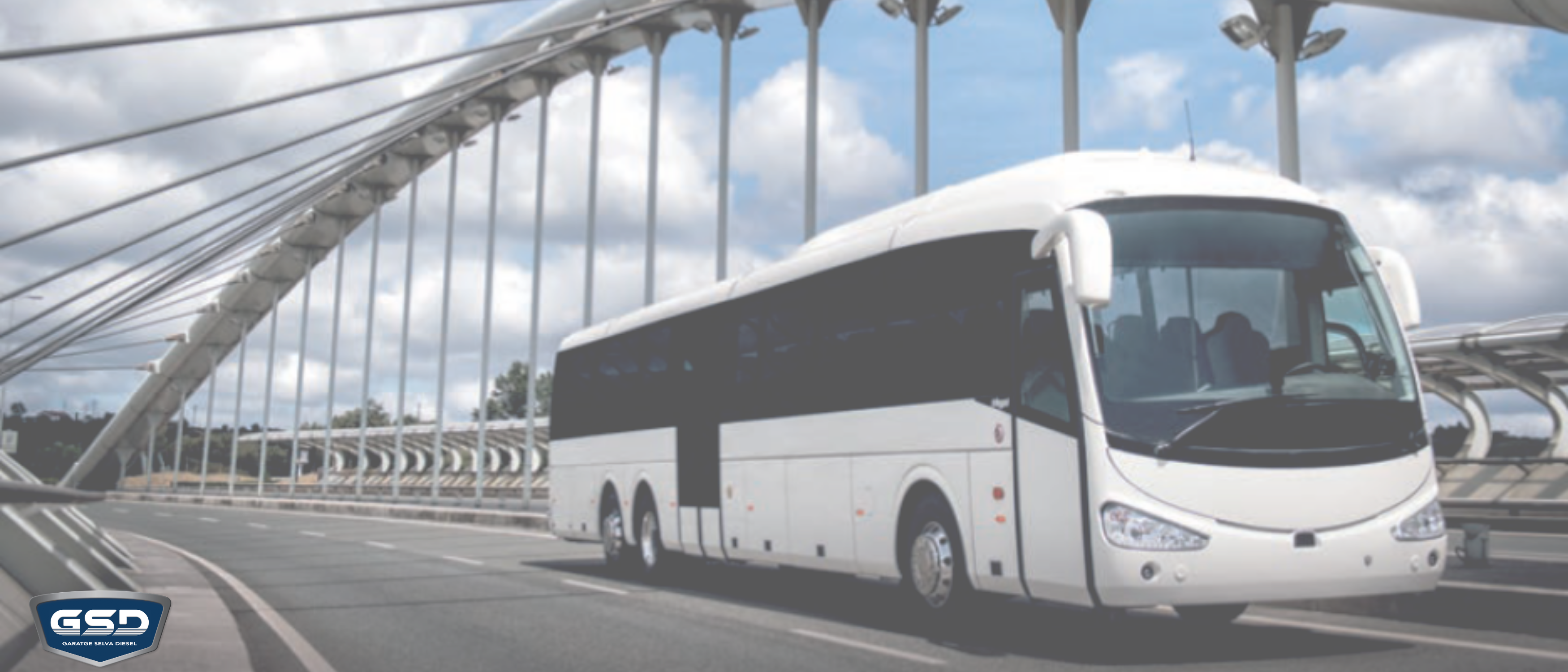 Catalogo autobuses